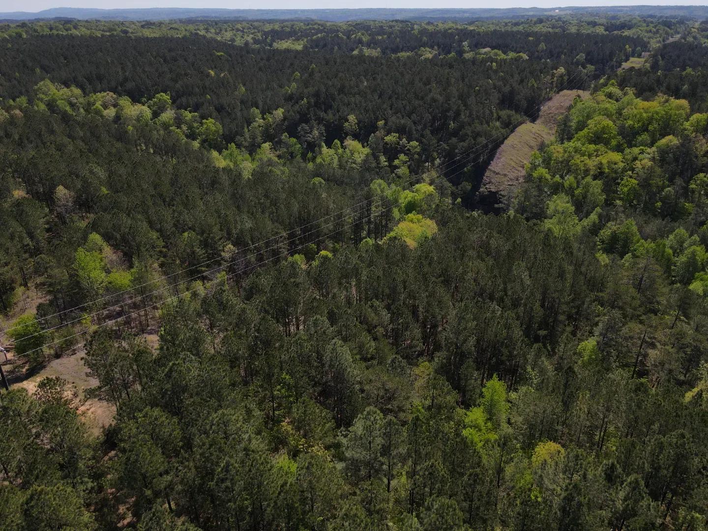 dji_fly_20250416_103718_5_1744847511900_photo