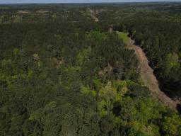 dji_fly_20250416_103726_6_1744819509389_photo