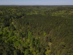 dji_fly_20250416_103818_9_1744819493454_photo