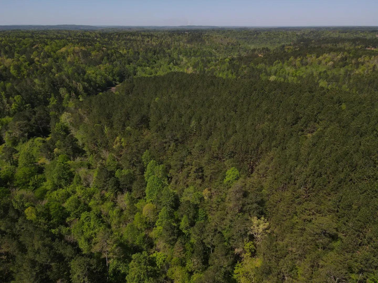 dji_fly_20250416_103818_9_1744819493454_photo