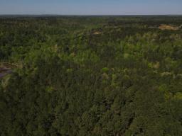 dji_fly_20250416_103846_10_1744819480973_photo