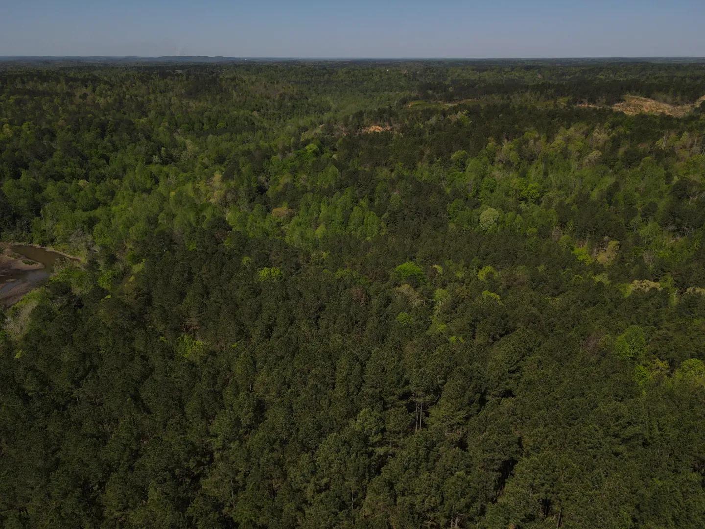 dji_fly_20250416_103846_10_1744819480973_photo