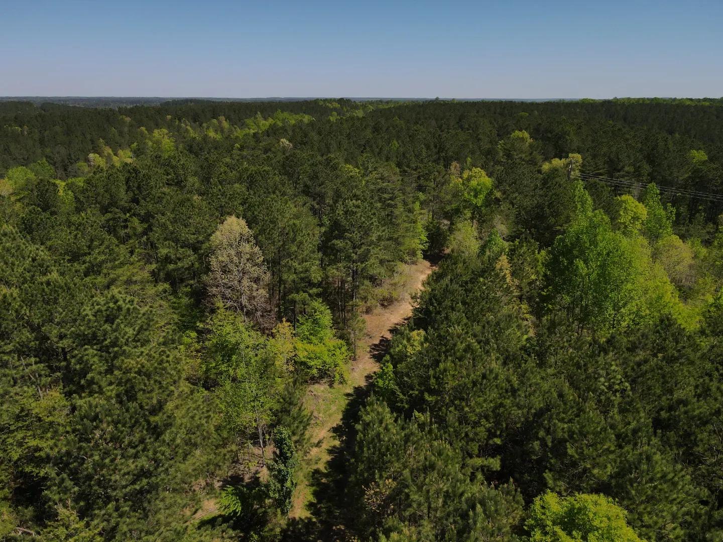 dji_fly_20250416_110358_15_1744819453581_photo