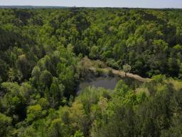dji_fly_20250416_110422_16_1744819515681_photo