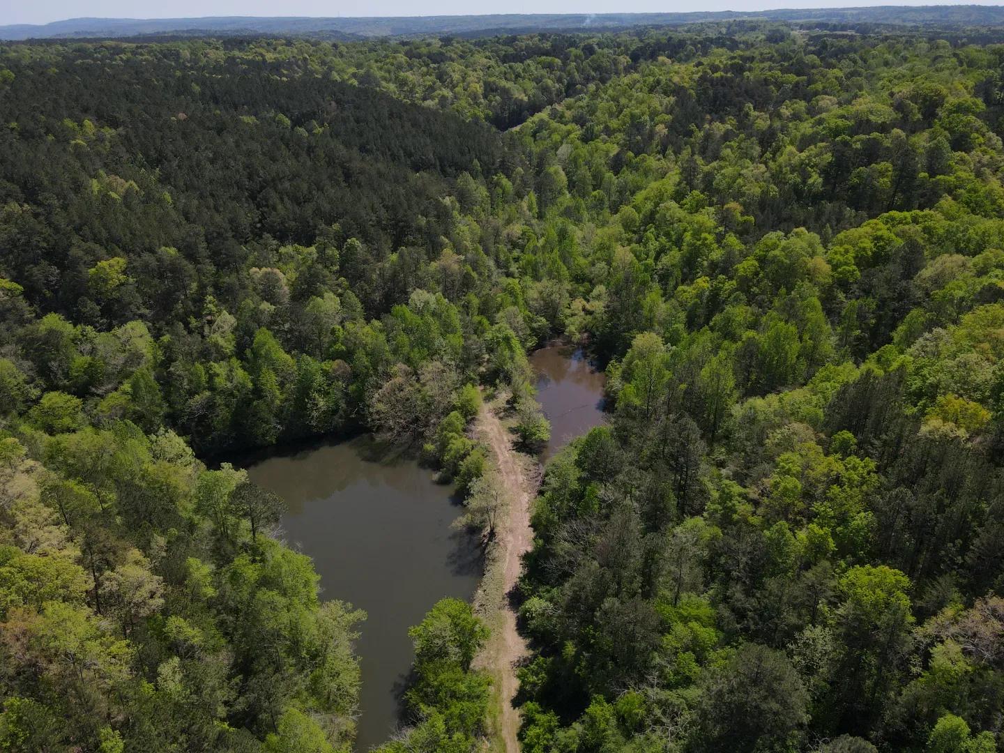 dji_fly_20250416_110518_20_1744819535466_photo