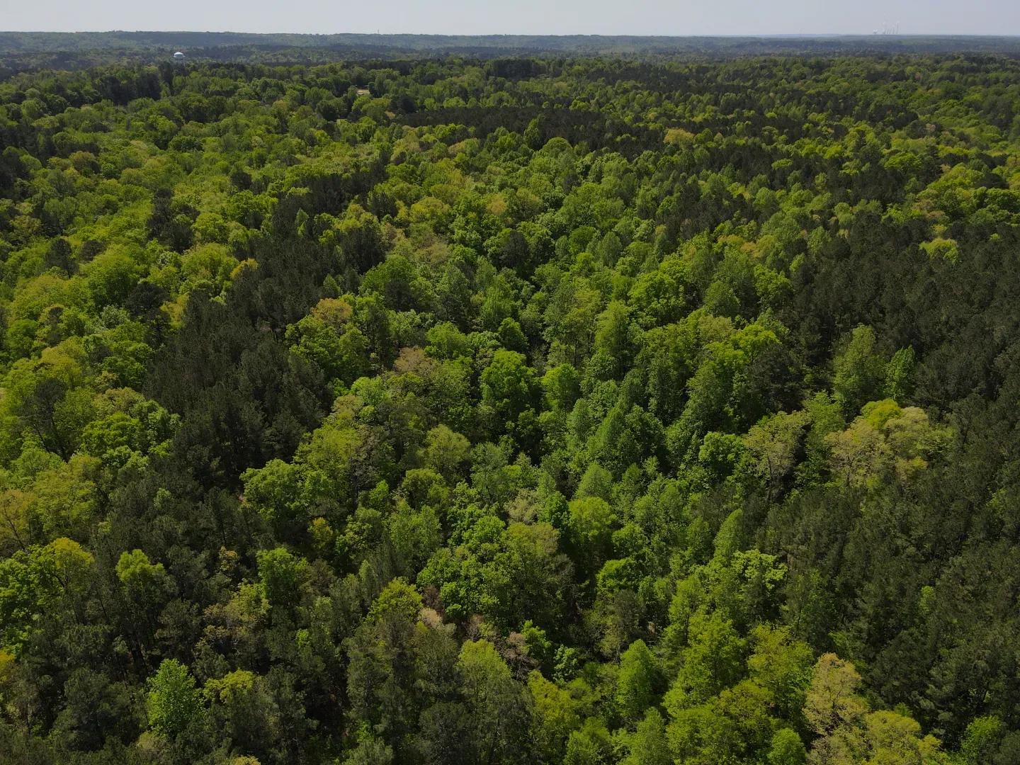 dji_fly_20250416_110556_22_1744819625863_photo