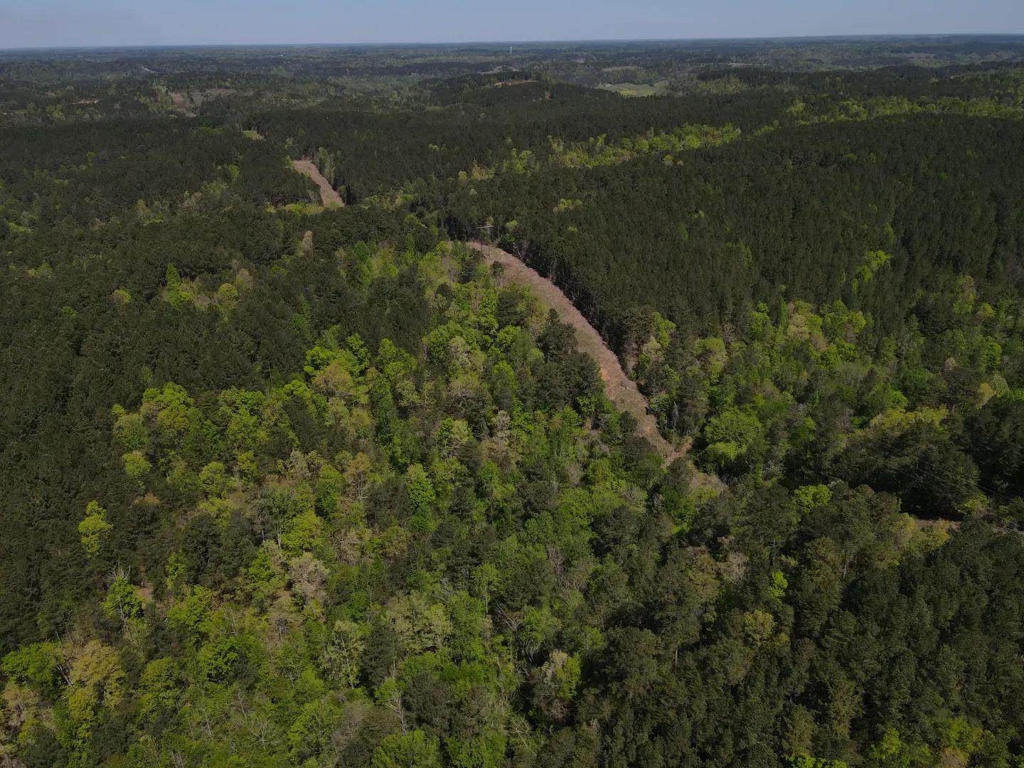 dji_fly_20250416_110716_23_1744819650738_photo