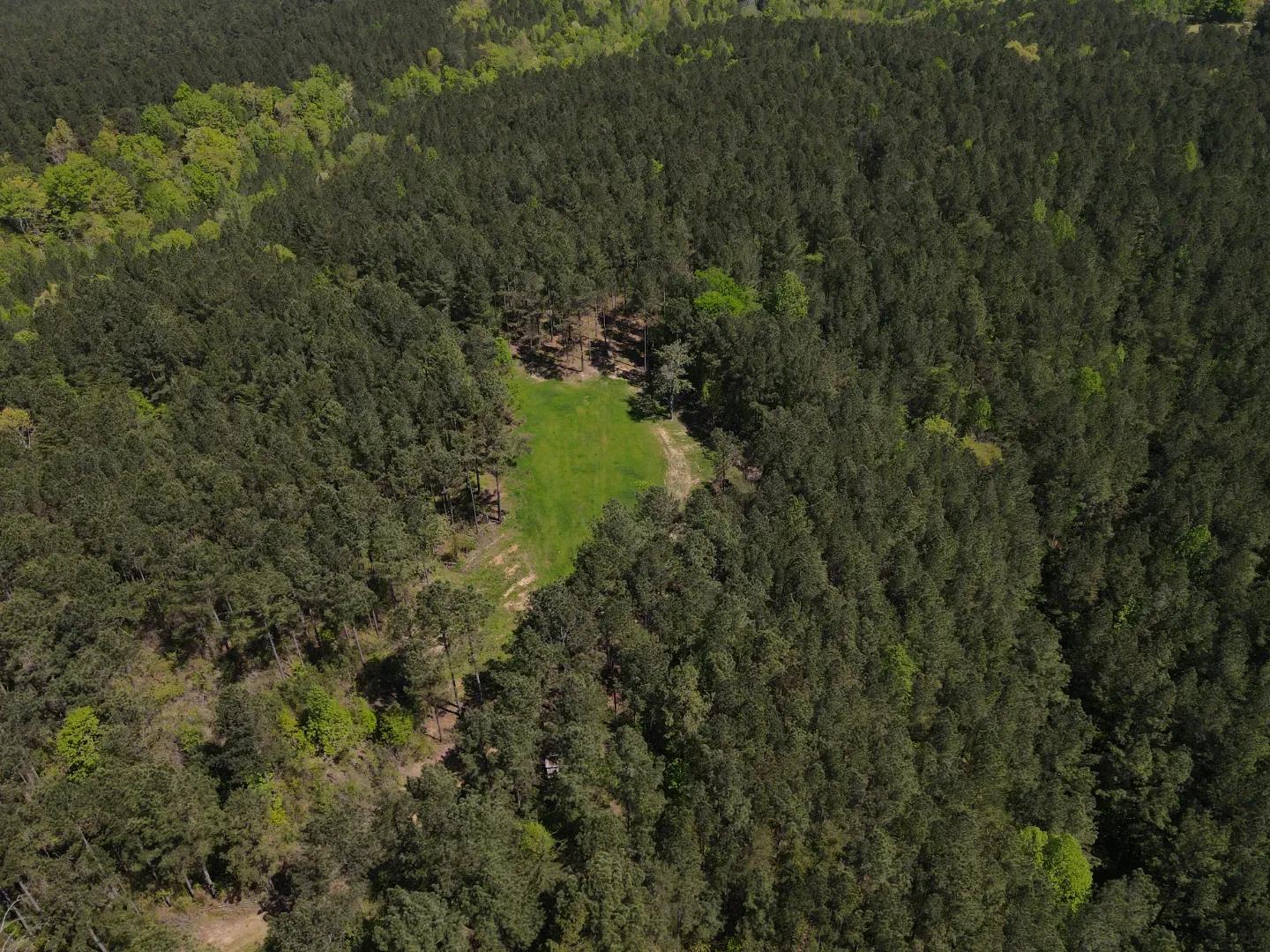 dji_fly_20250416_110804_24_1744819751566_photo