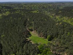 dji_fly_20250416_110842_26_1744819765555_photo