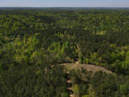 dji_fly_20250416_110910_28_1744819772811_photo