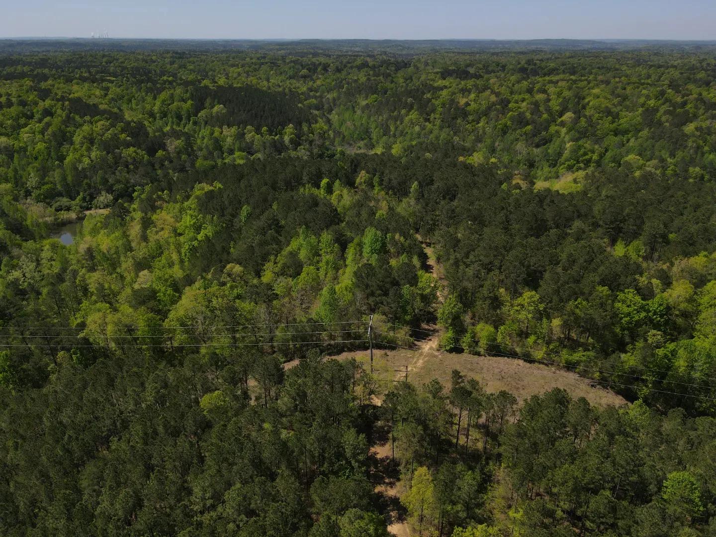 dji_fly_20250416_110910_28_1744819772811_photo