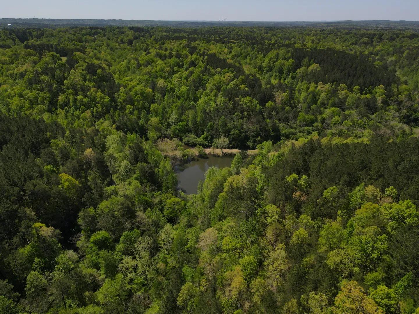 dji_fly_20250416_110932_29_1744819785382_photo