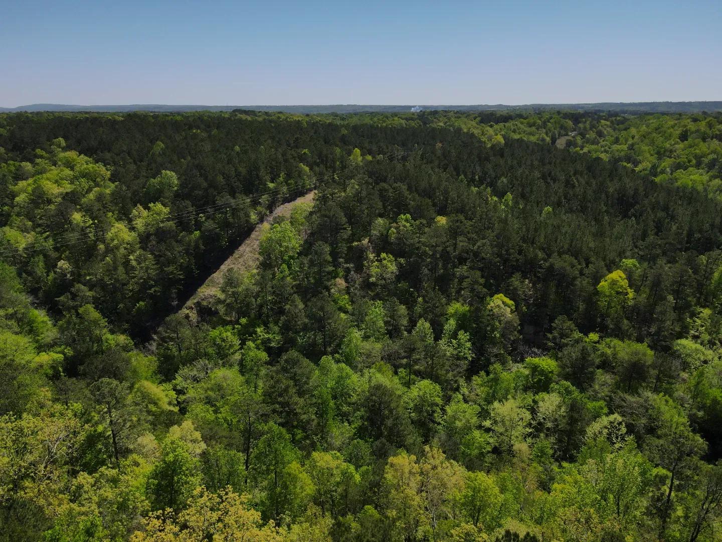 dji_fly_20250416_111014_32_1744819827085_photo