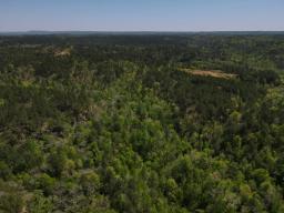 dji_fly_20250416_120336_40_1744823047104_photo