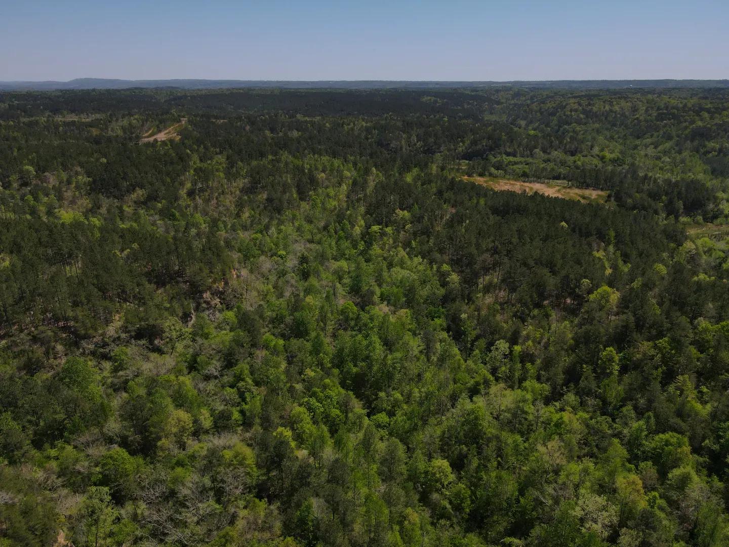 dji_fly_20250416_120336_40_1744823047104_photo