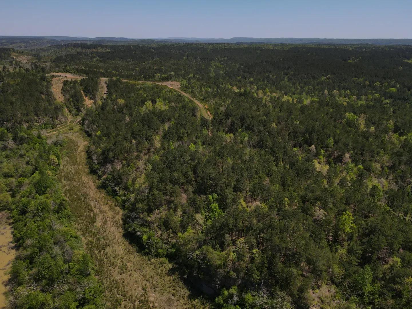 dji_fly_20250416_120616_50_1744823237850_photo