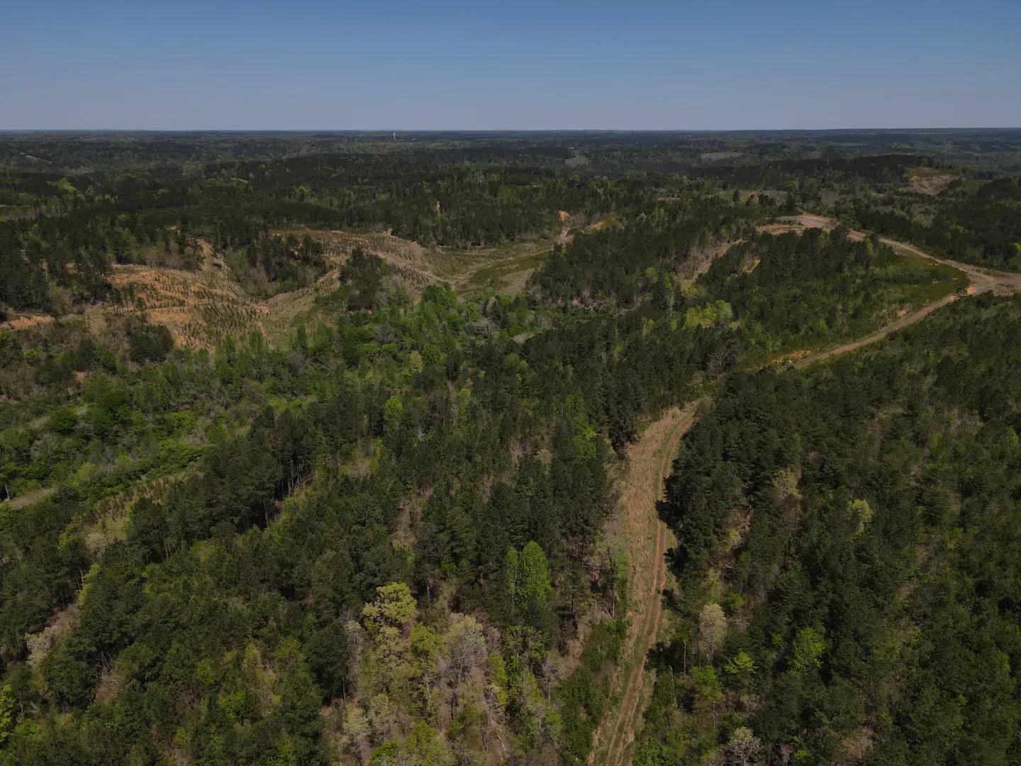 dji_fly_20250416_120652_52_1744823283758_photo