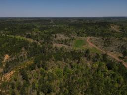 dji_fly_20250416_120822_56_1744823331942_photo