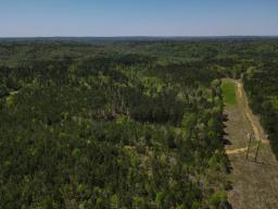 dji_fly_20250416_120936_58_1744823401231_photo