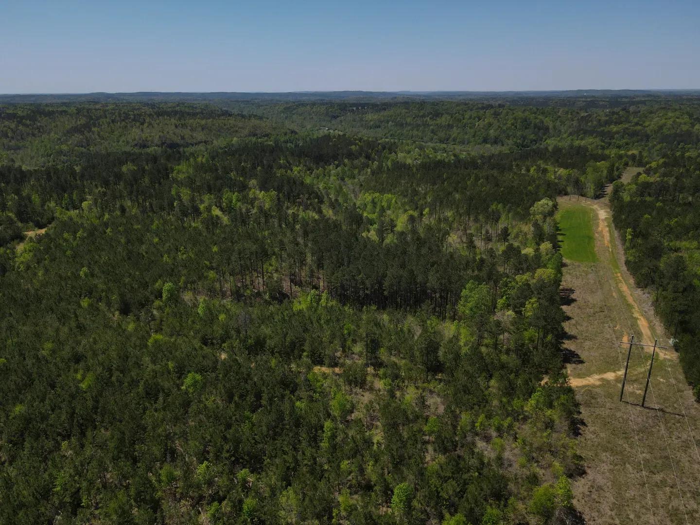 dji_fly_20250416_120936_58_1744823401231_photo