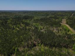 dji_fly_20250416_121016_61_1744823433277_photo