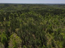 dji_fly_20250416_121056_64_1744823481071_photo