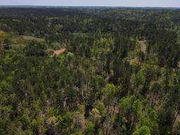 dji_fly_20250416_121106_65_1744823487888_photo