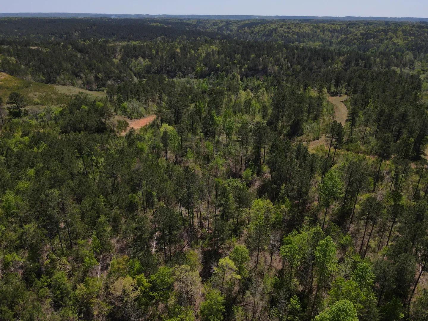 dji_fly_20250416_121106_65_1744823487888_photo