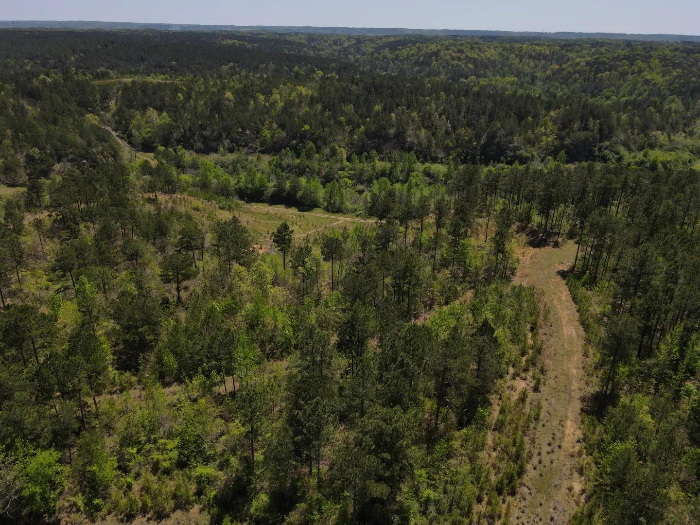 dji_fly_20250416_121126_66_1744823502730_photo