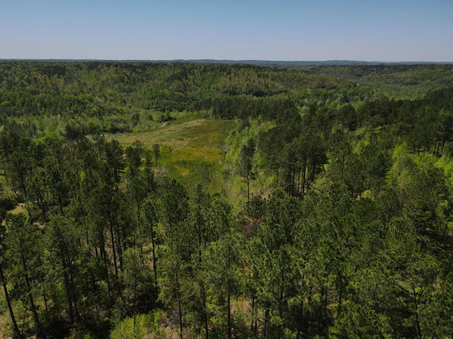 dji_fly_20250416_121210_68_1744823548487_photo