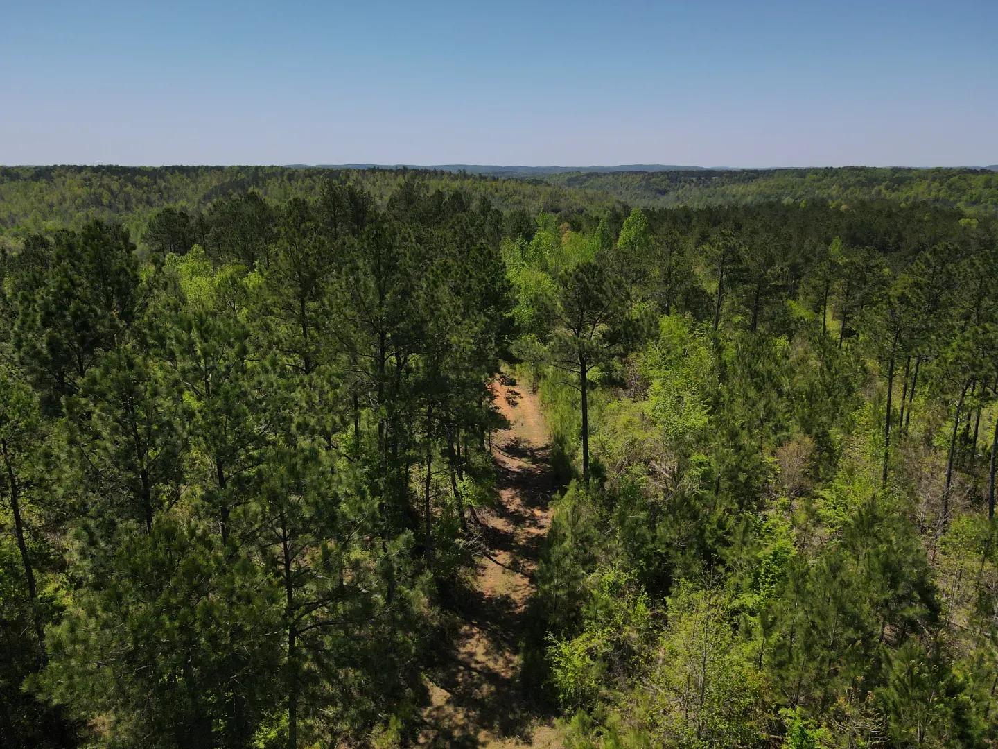 dji_fly_20250416_121304_73_1744823622889_photo