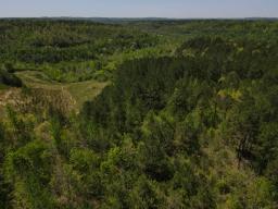 dji_fly_20250416_121332_75_1744823634210_photo