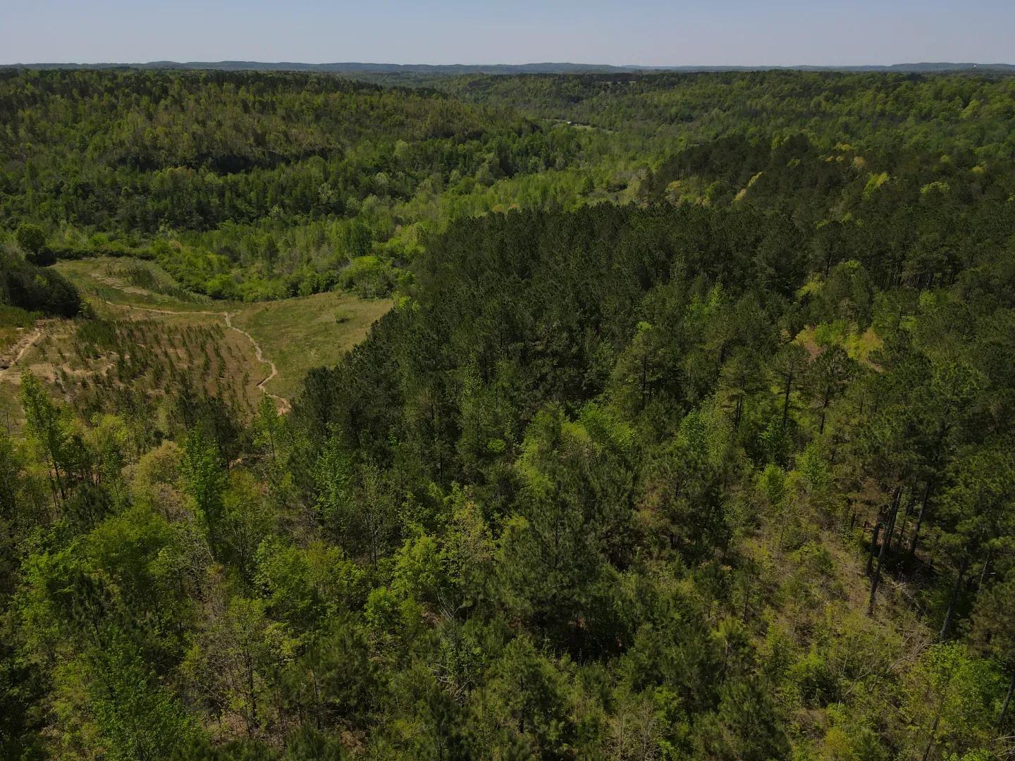 dji_fly_20250416_121332_75_1744823634210_photo