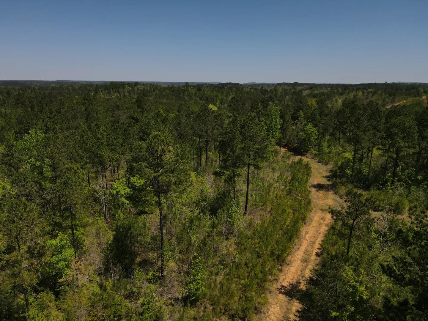dji_fly_20250416_121354_76_1744823649571_photo
