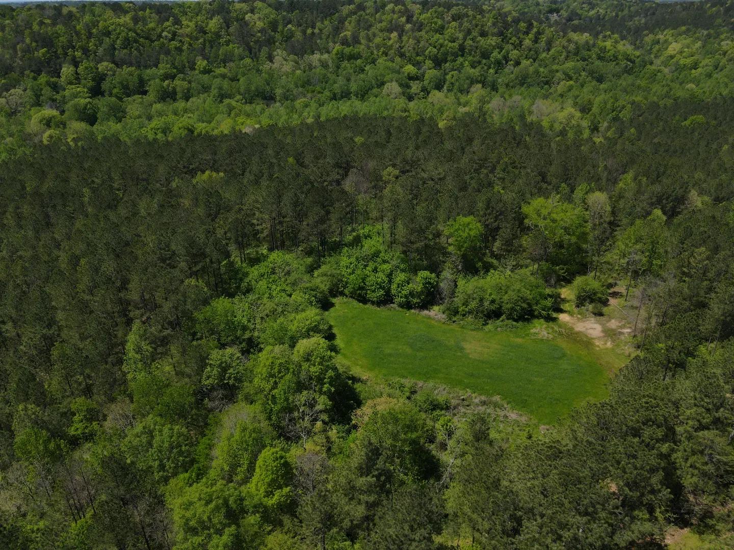 dji_fly_20250416_125214_80_1744847507421_photo