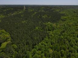 dji_fly_20250416_125606_90_1744847495641_photo
