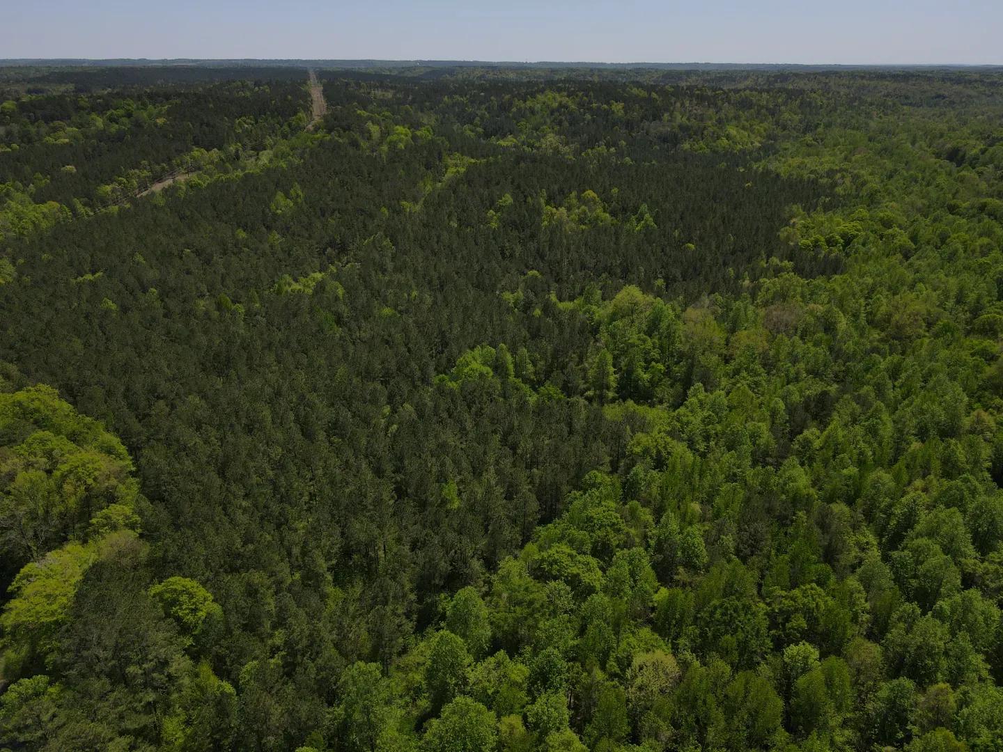 dji_fly_20250416_125606_90_1744847495641_photo