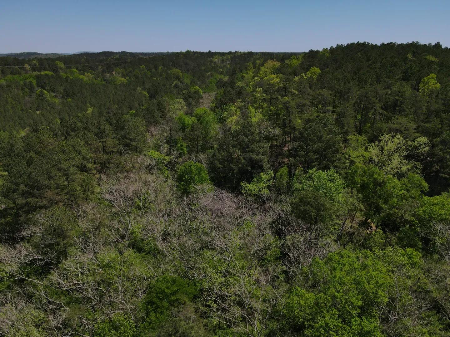 dji_fly_20250416_125856_97_1744847489939_photo