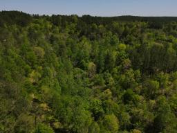 dji_fly_20250416_133212_111_1744828350424_photo