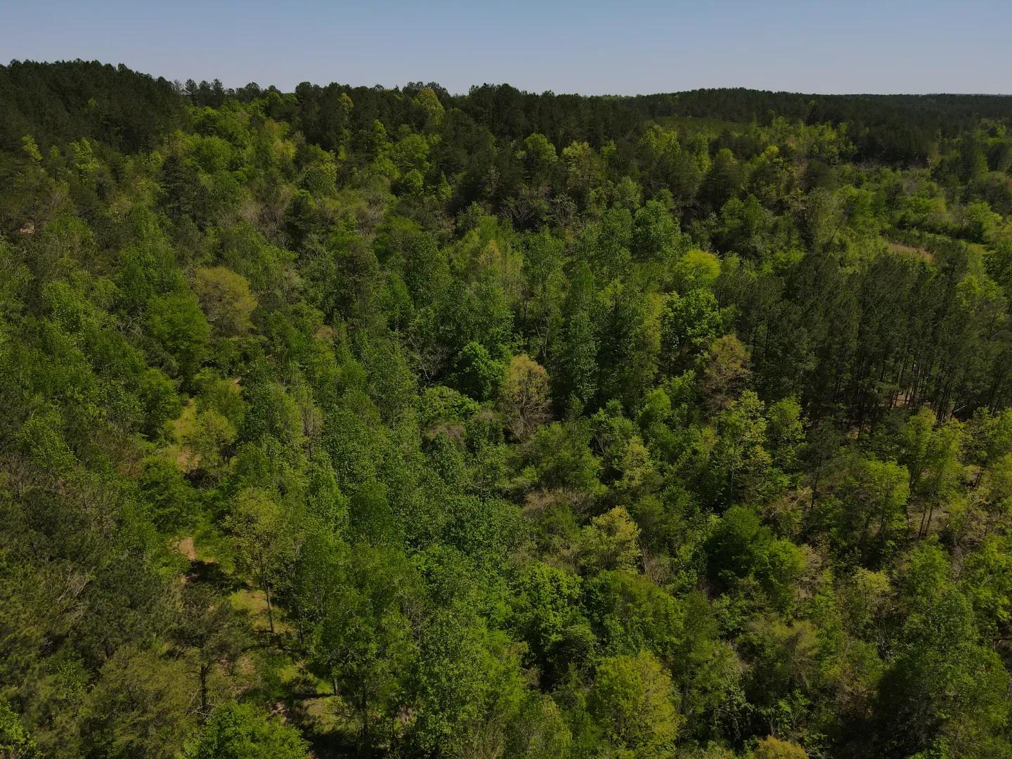 dji_fly_20250416_133212_111_1744828350424_photo