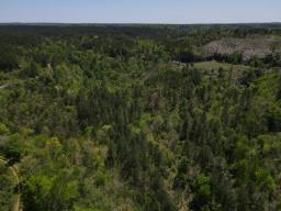 dji_fly_20250416_133242_112_1744828450980_photo