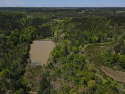 dji_fly_20250416_133356_115_1744828468445_photo