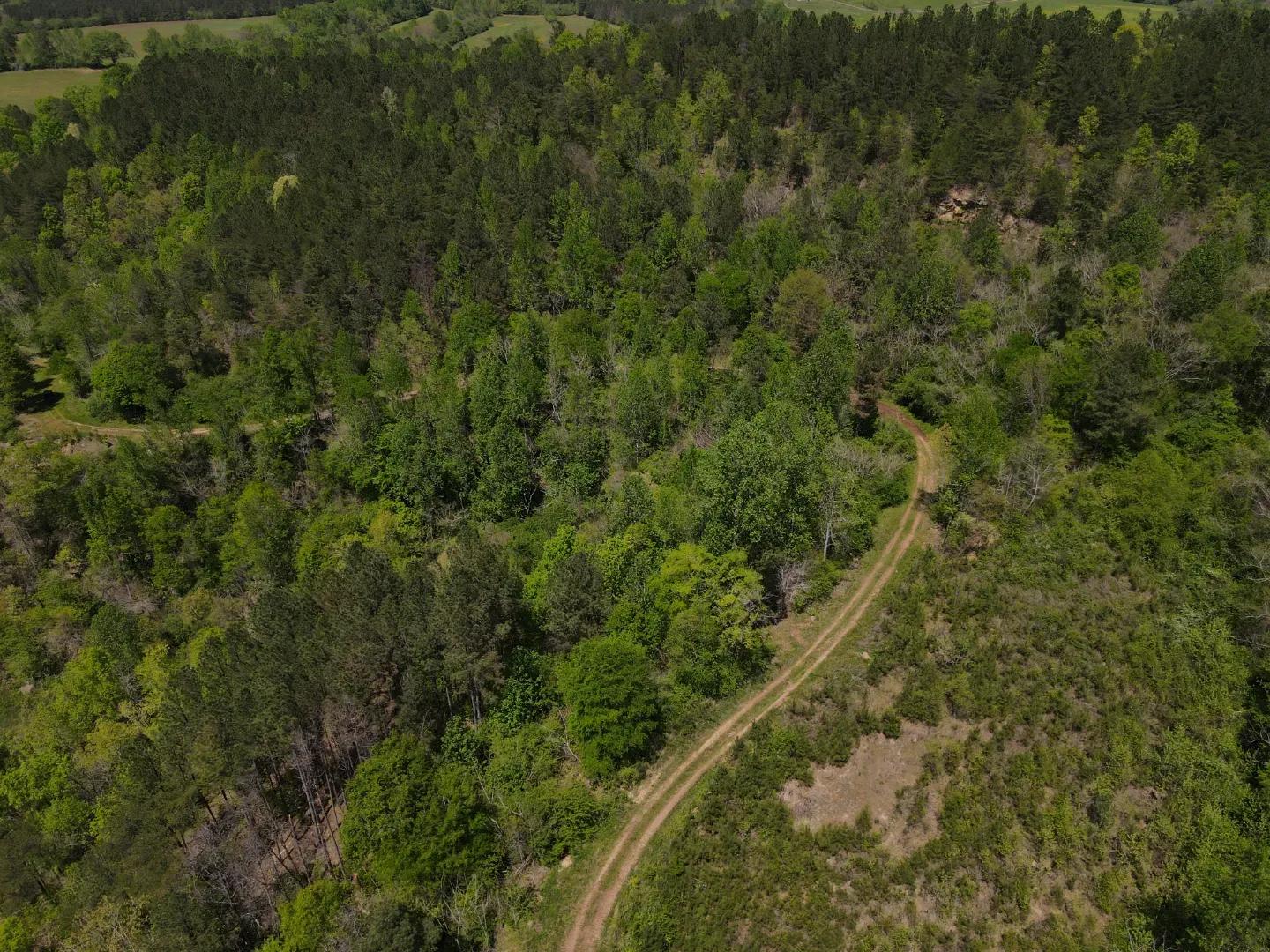 dji_fly_20250416_133414_116_1744828474597_photo