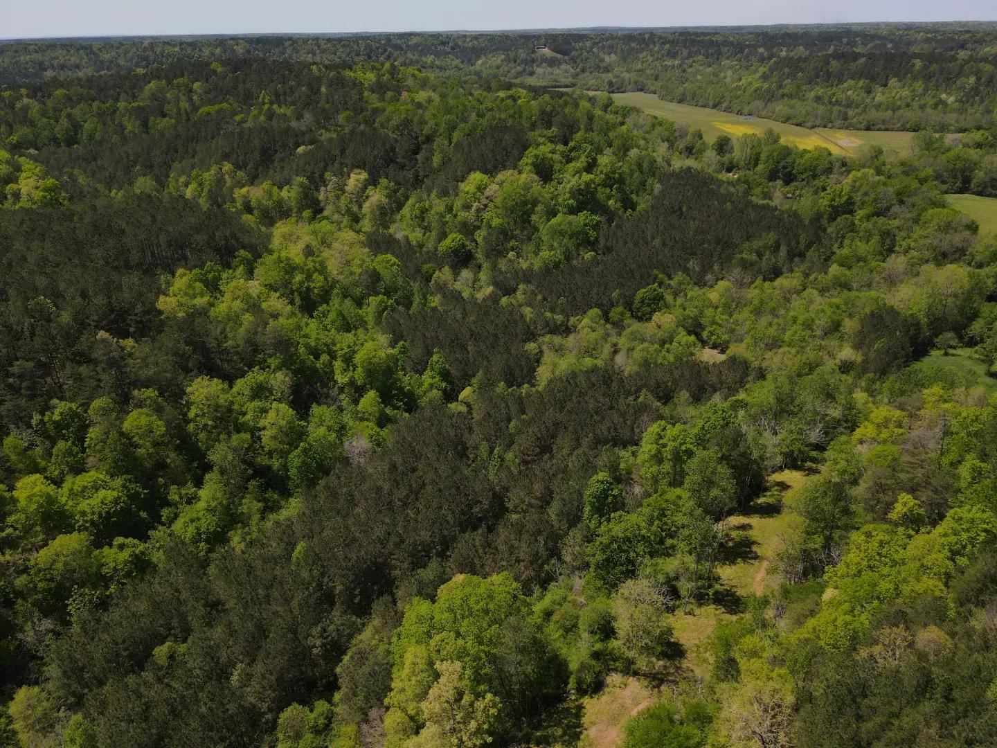 dji_fly_20250416_133438_117_1744828490985_photo