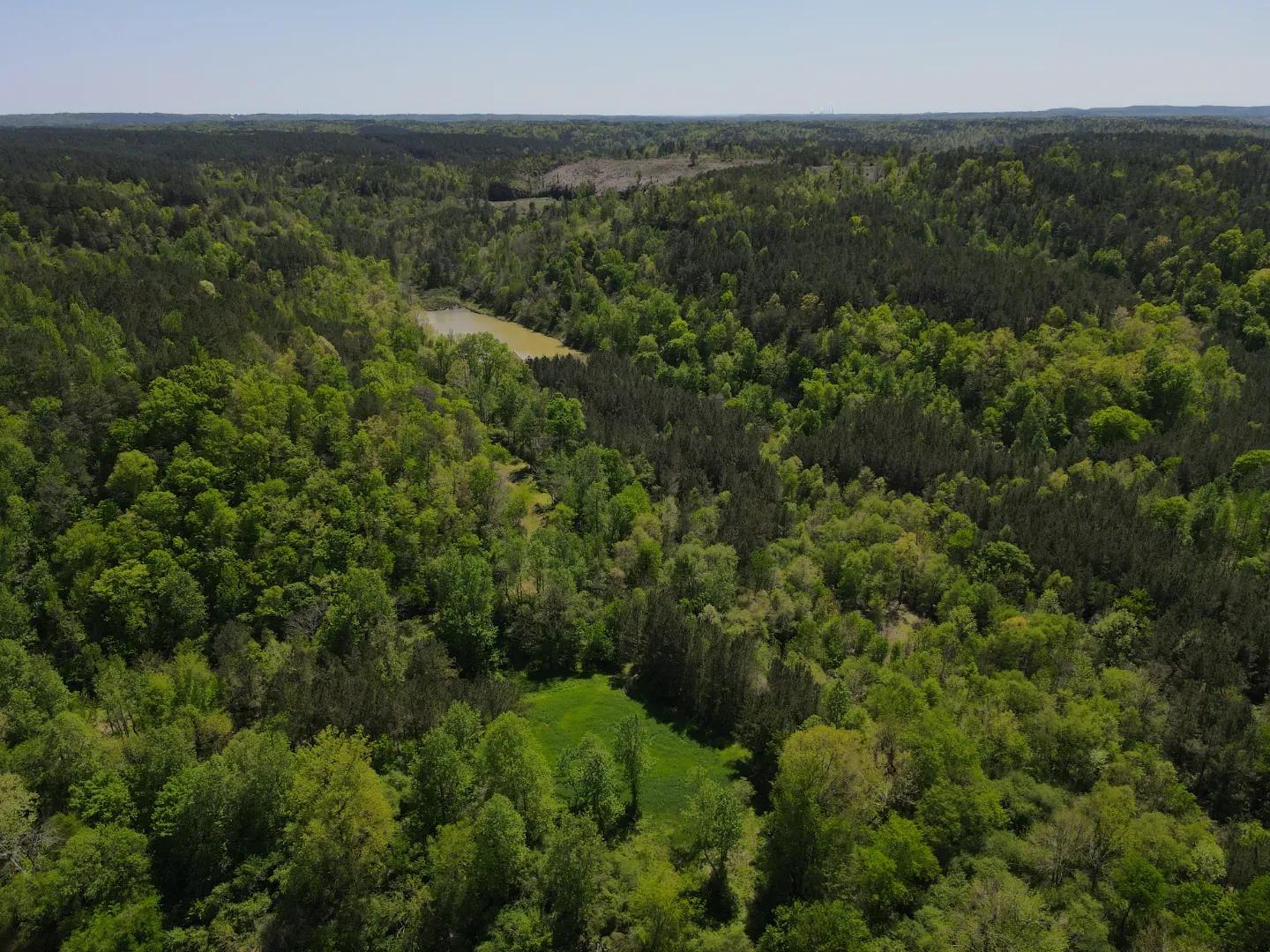 dji_fly_20250416_133618_121_1744847482477_photo