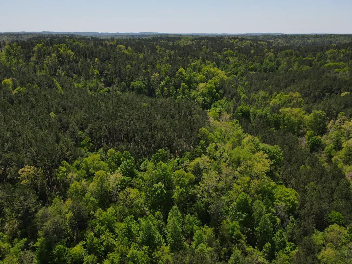 dji_fly_20250416_133746_126_1744828714574_photo