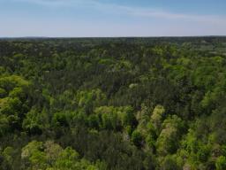 dji_fly_20250416_133818_128_1744828761342_photo