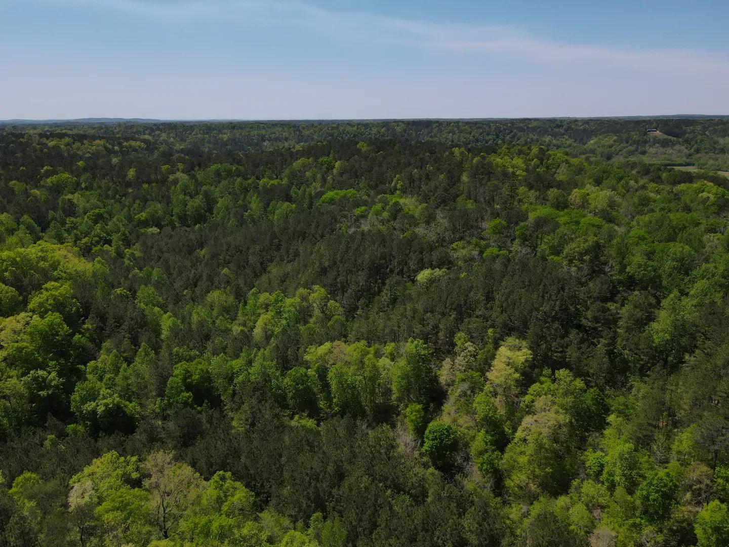 dji_fly_20250416_133818_128_1744828761342_photo