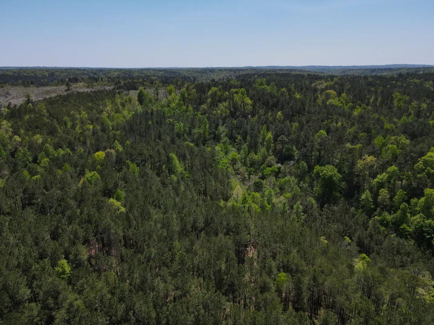 dji_fly_20250416_133824_129_1744828756148_photo