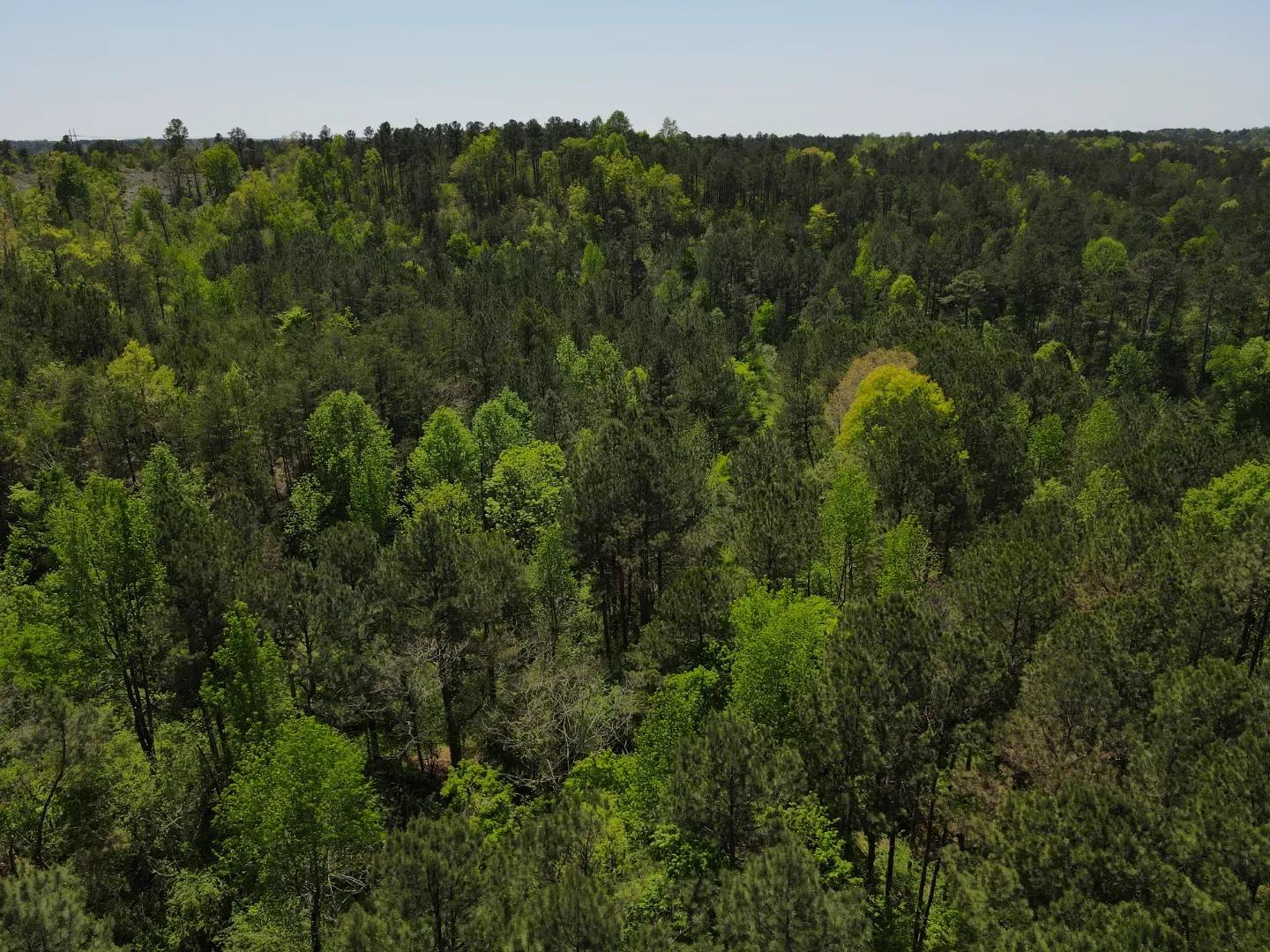 dji_fly_20250416_133934_133_1744828789284_photo